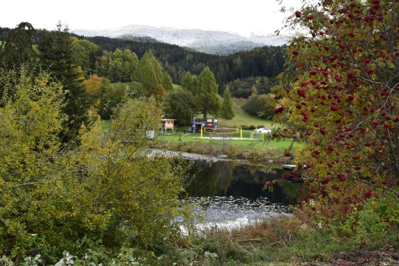 Ferienwohnung Familie Pichler Neumarkt in Steiermark Luaran gambar