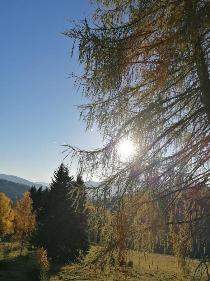 Ferienwohnung Familie Pichler Neumarkt in Steiermark Luaran gambar