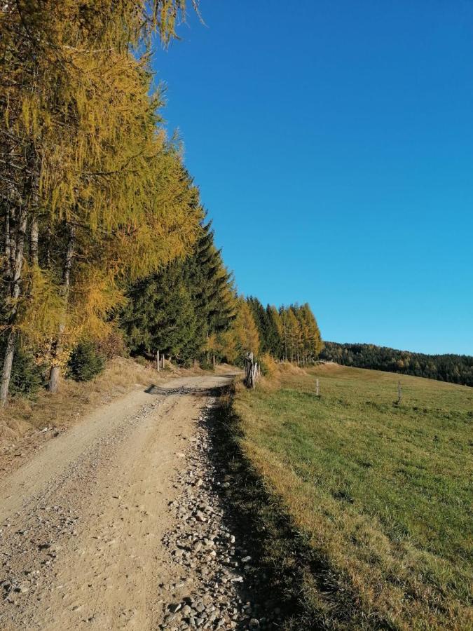 Ferienwohnung Familie Pichler Neumarkt in Steiermark Luaran gambar